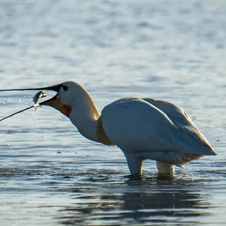 Jolie Maison Proche * 勒克罗图瓦