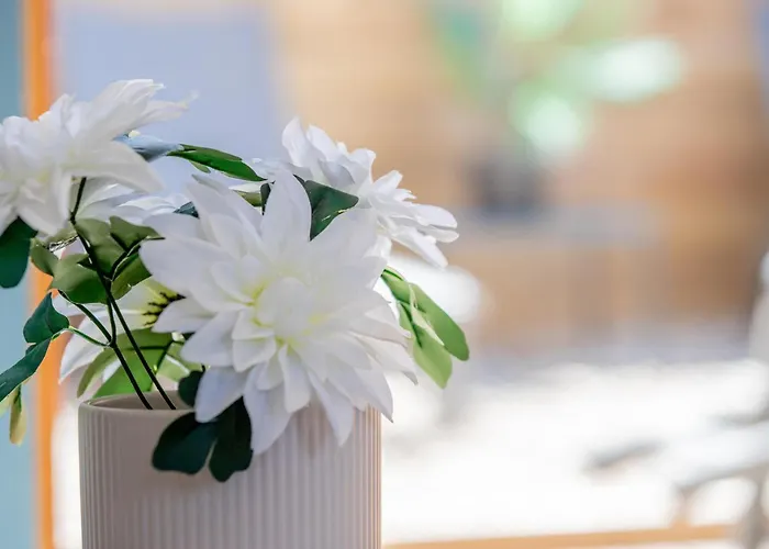 Jolie Maison Proche Hébergement de vacances Le Crotoy