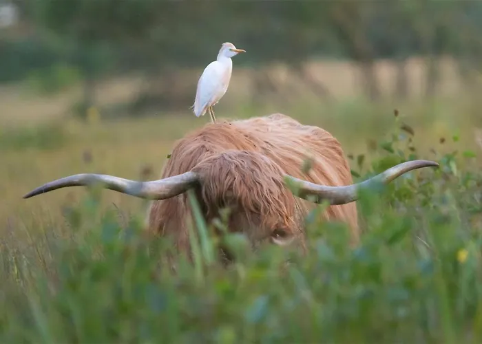 Jolie Maison Proche * Le Crotoy