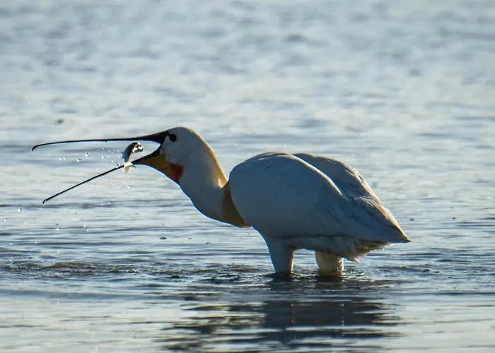 Jolie Maison Proche * Le Crotoy